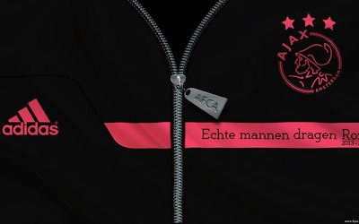 艾尚体育动态-三笘薰已成布莱顿城市英雄